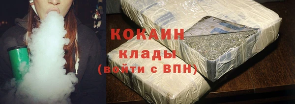 крисы Баксан