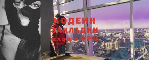 крисы Баксан