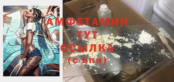 крисы Баксан