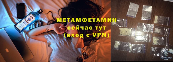 крисы Баксан