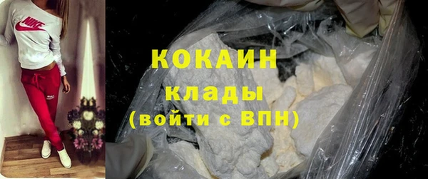 крисы Баксан
