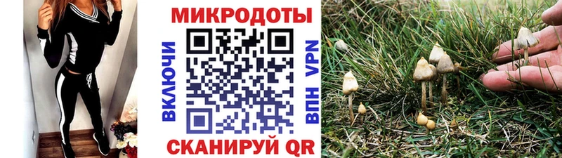 Псилоцибиновые грибы Magic Shrooms Лаишево